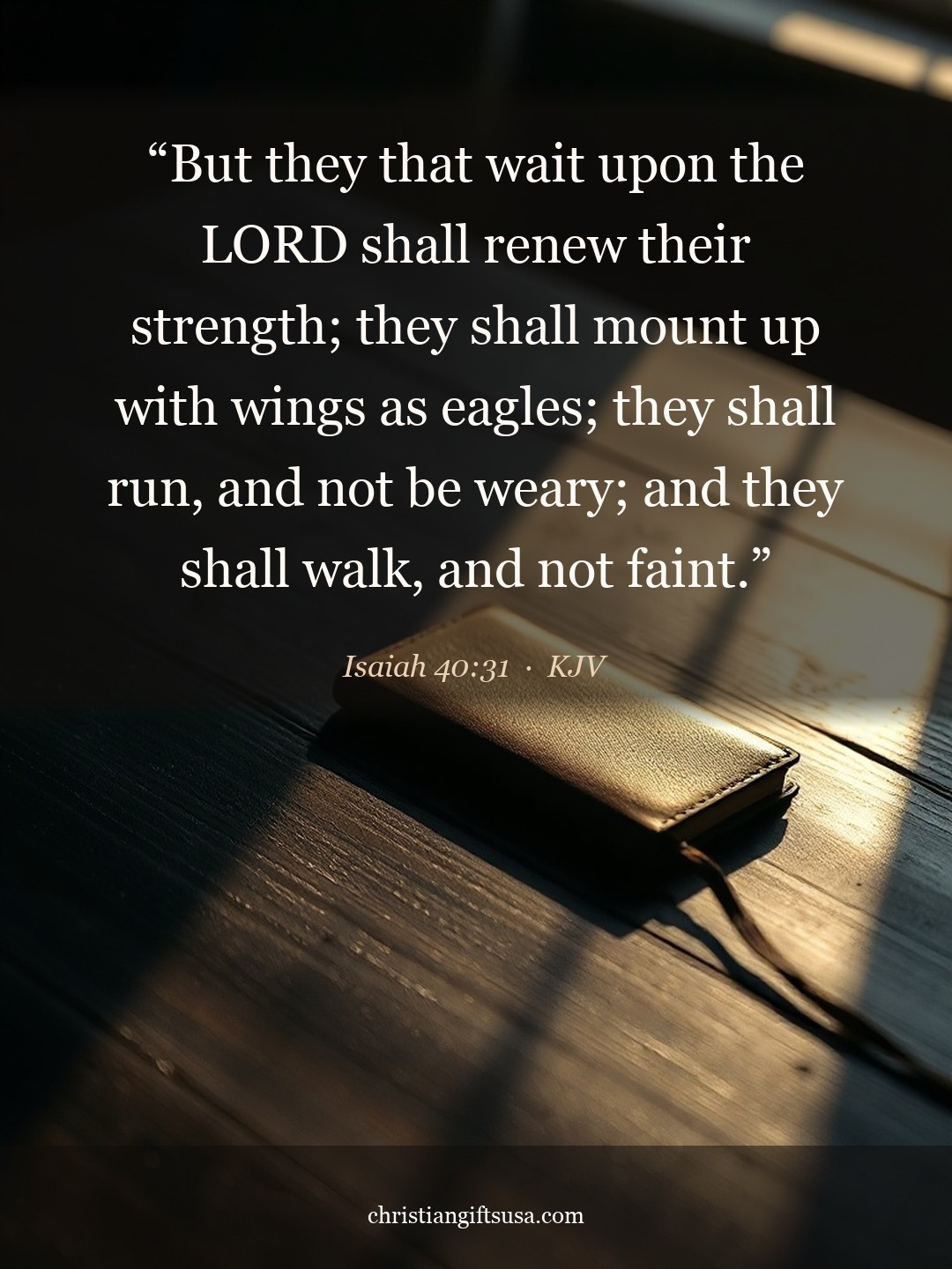Isaiah 40:31 illustrated Bible verse