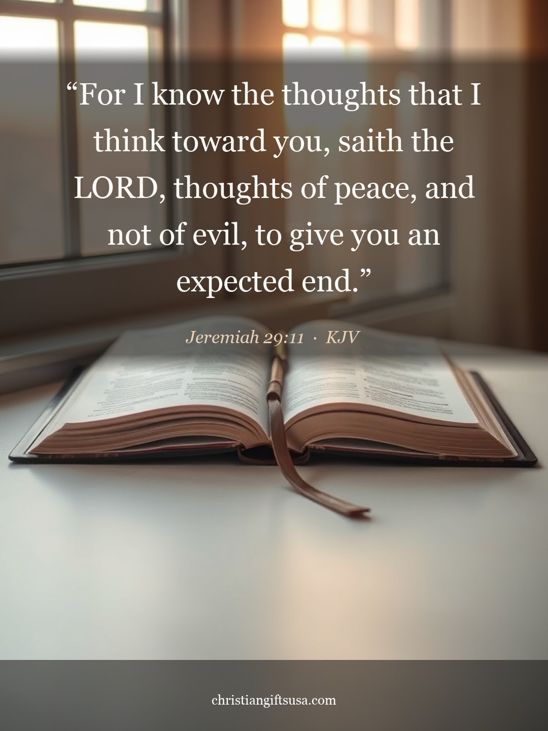 Jeremiah 29:11 illustrated Bible verse