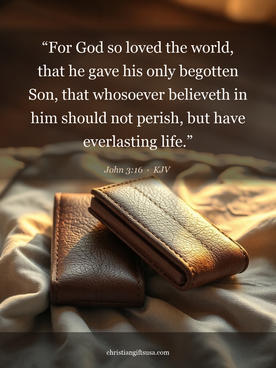 John 3:16 illustrated Bible verse