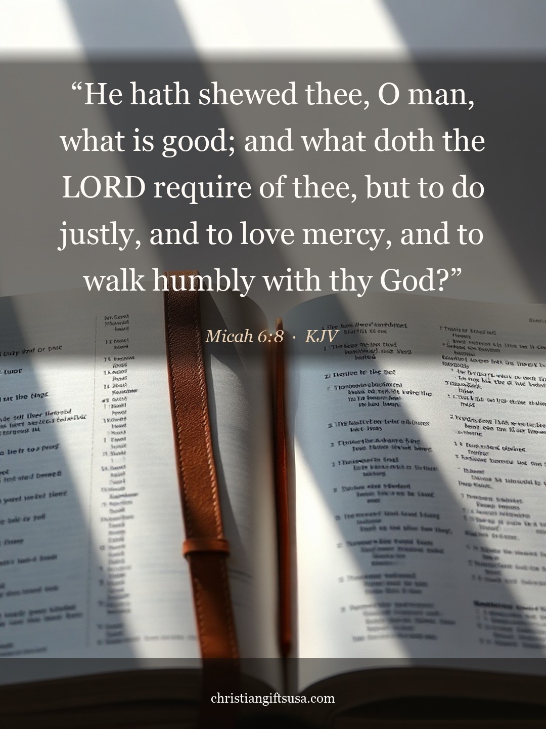 Micah 6:8 illustrated Bible verse