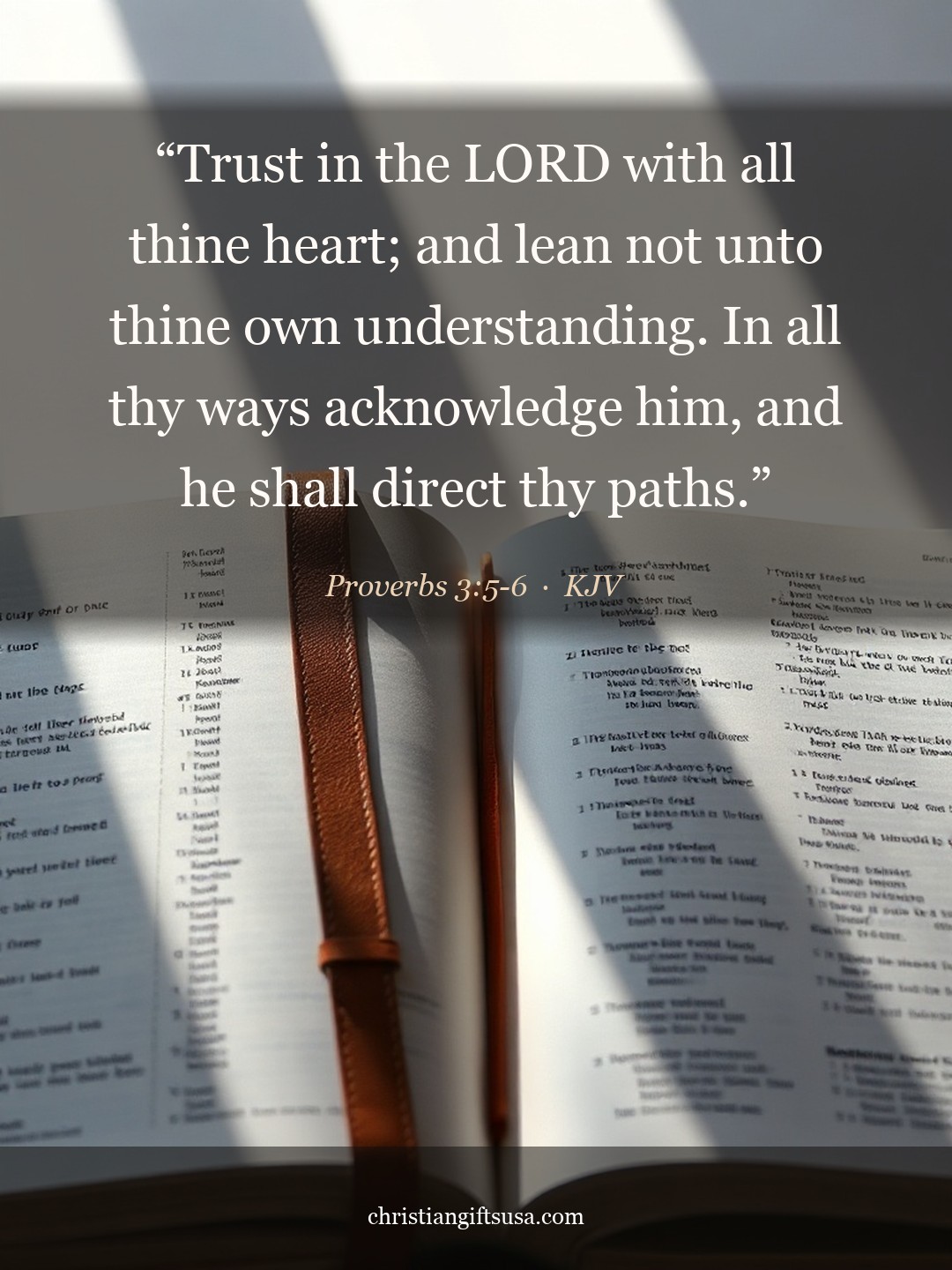 Proverbs 3:5-6 illustrated Bible verse