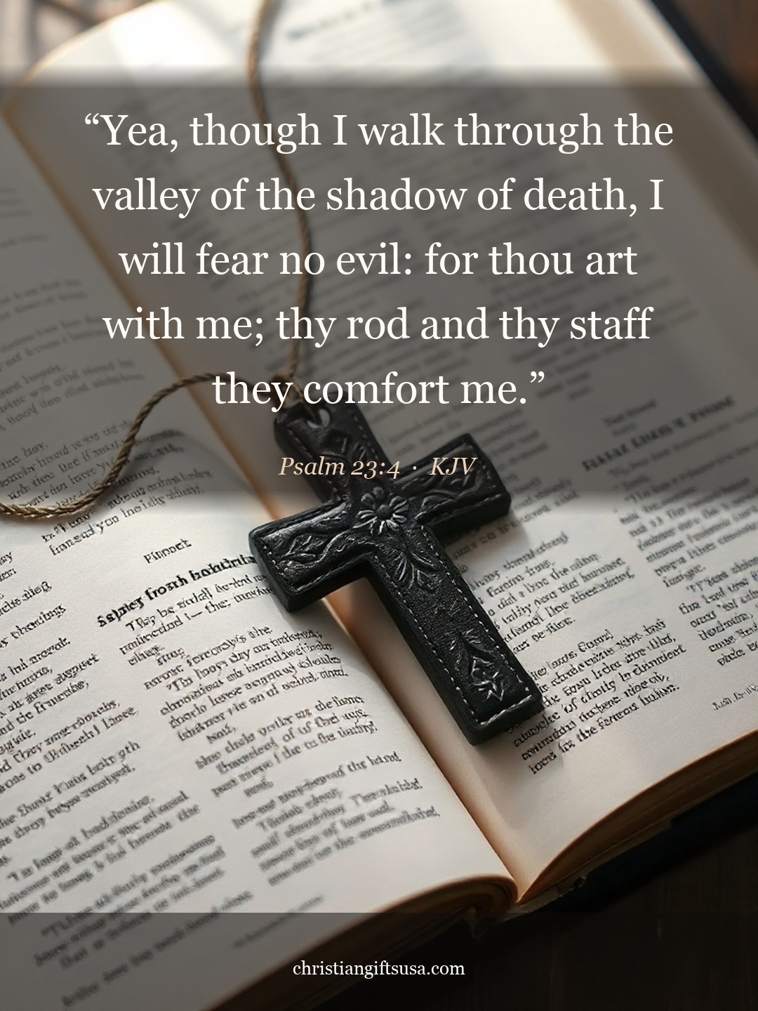 Psalm 23:4 illustrated Bible verse