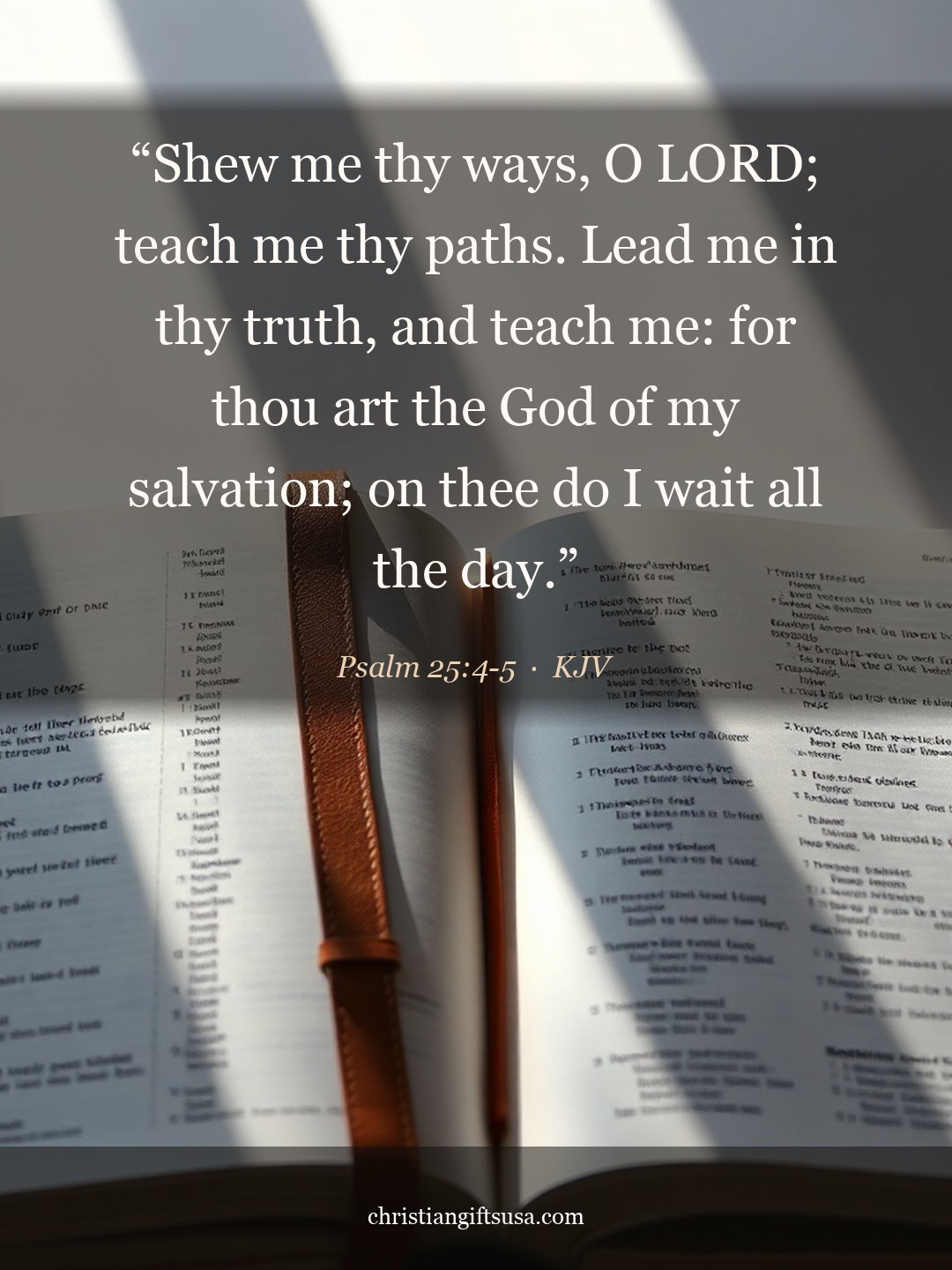 Psalm 25:4-5 illustrated Bible verse