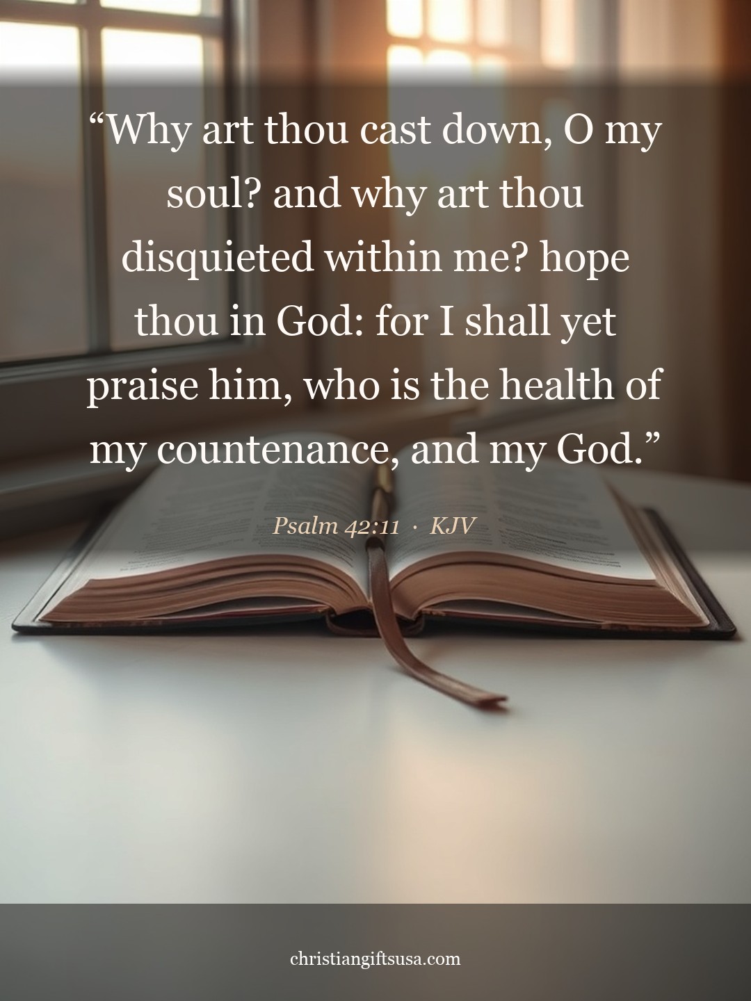 Psalm 42:11 illustrated Bible verse