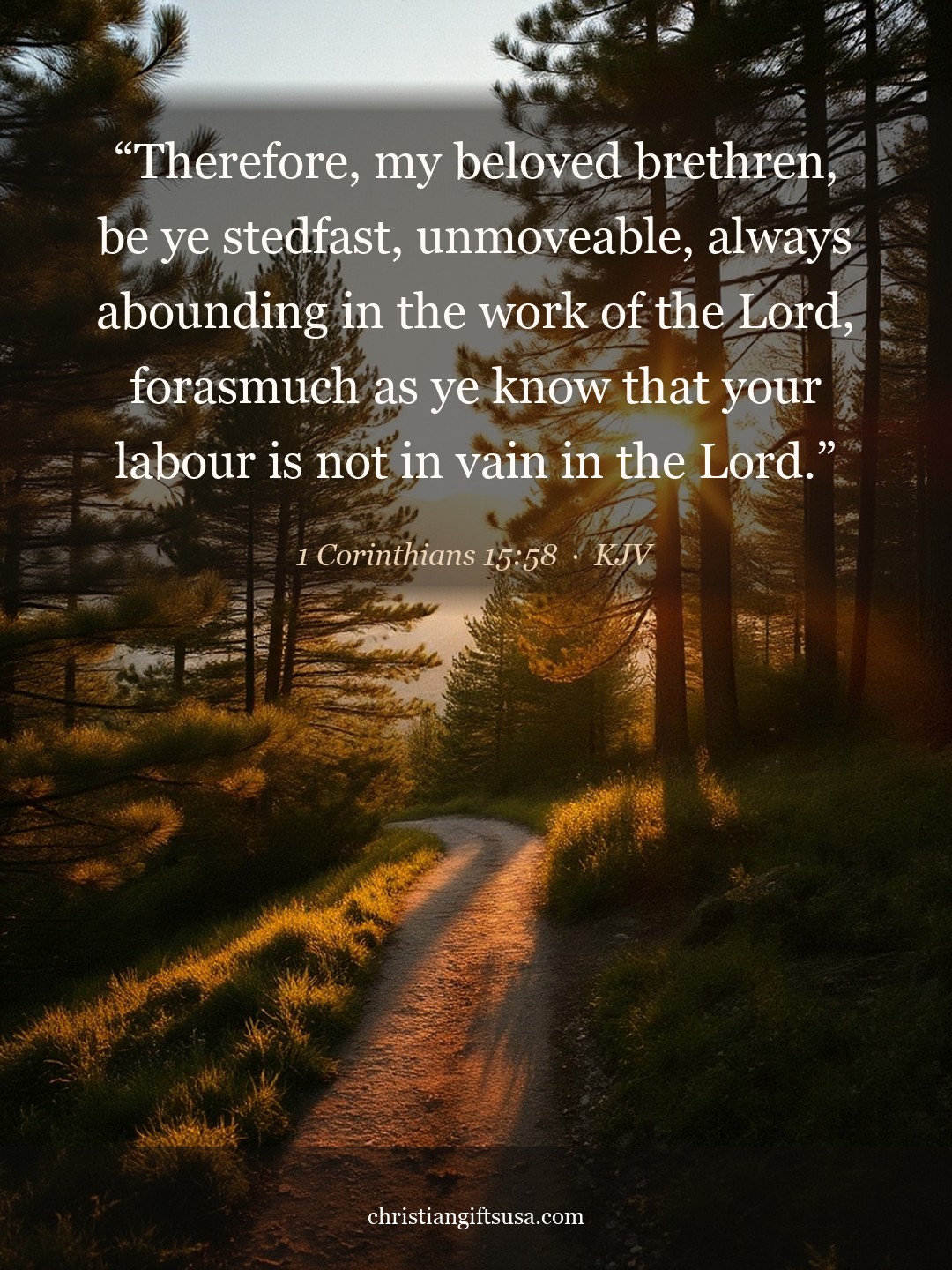 1 Corinthians 15:58 illustrated Bible verse