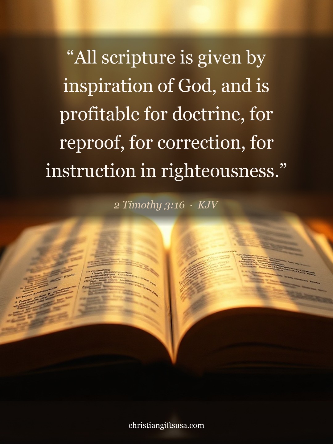 2 Timothy 3:16 illustrated Bible verse