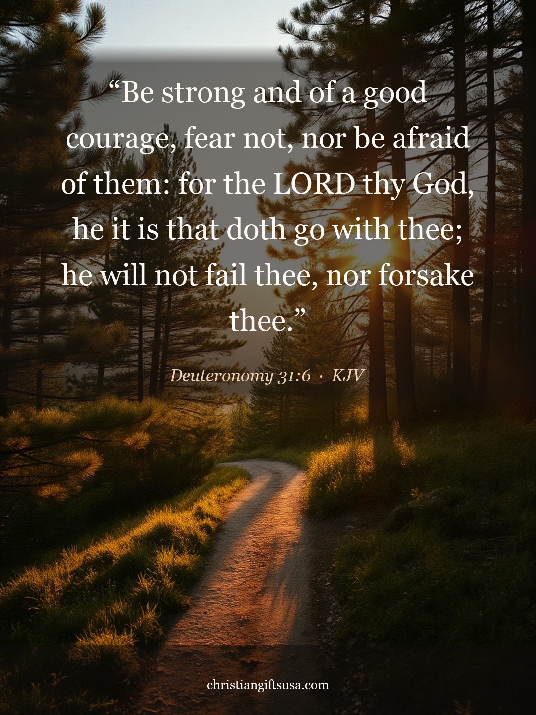 Deuteronomy 31:6 illustrated Bible verse