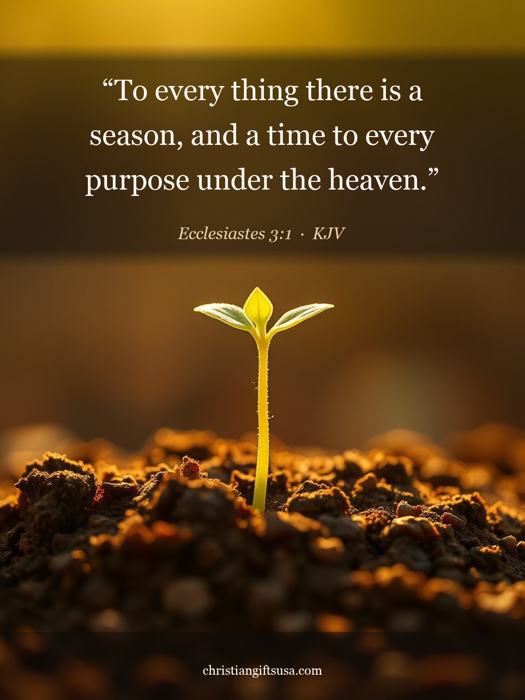 Ecclesiastes 3:1 illustrated Bible verse