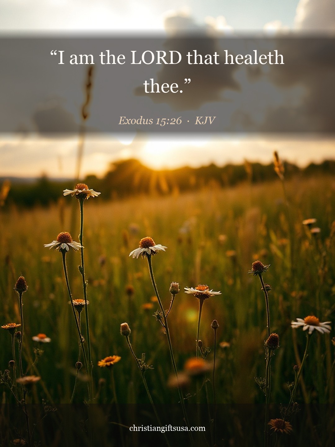 Exodus 15:26 illustrated Bible verse