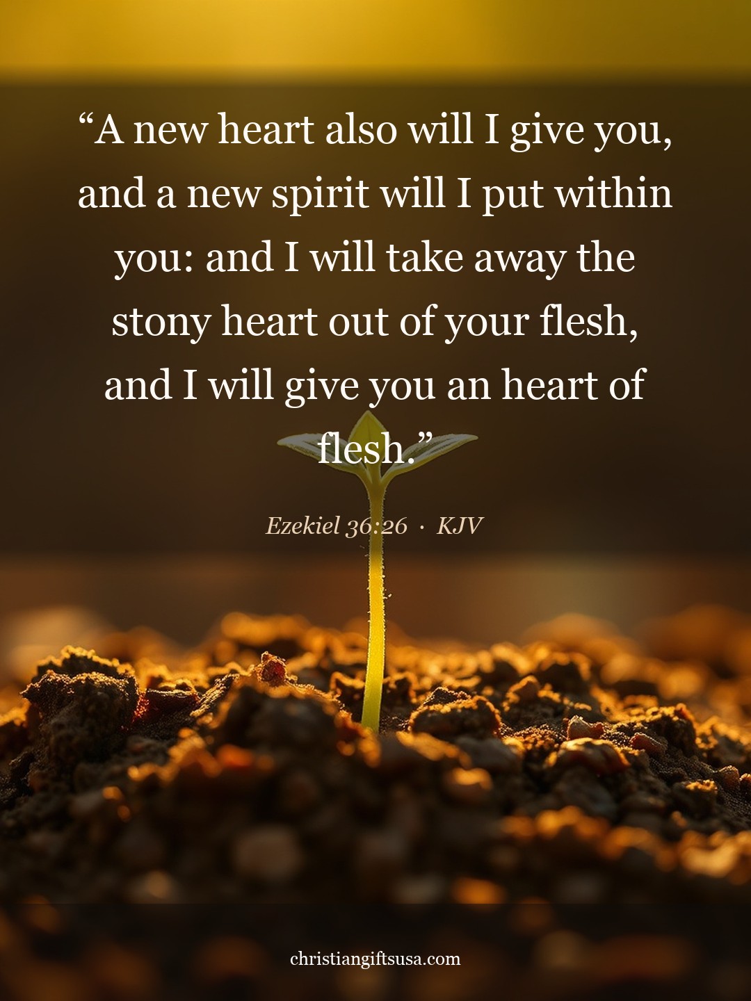 Ezekiel 36:26 illustrated Bible verse