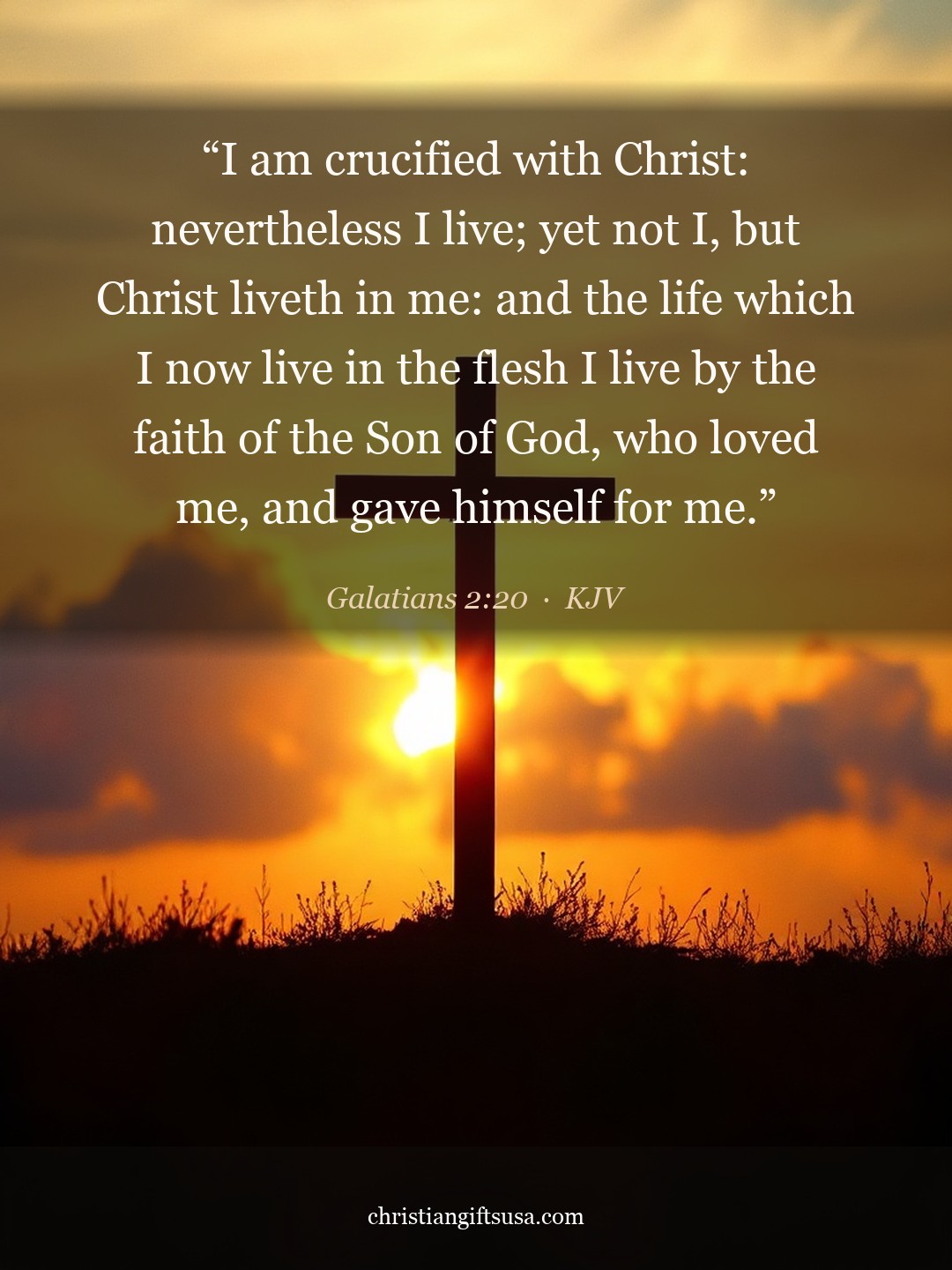 Galatians 2:20 illustrated Bible verse