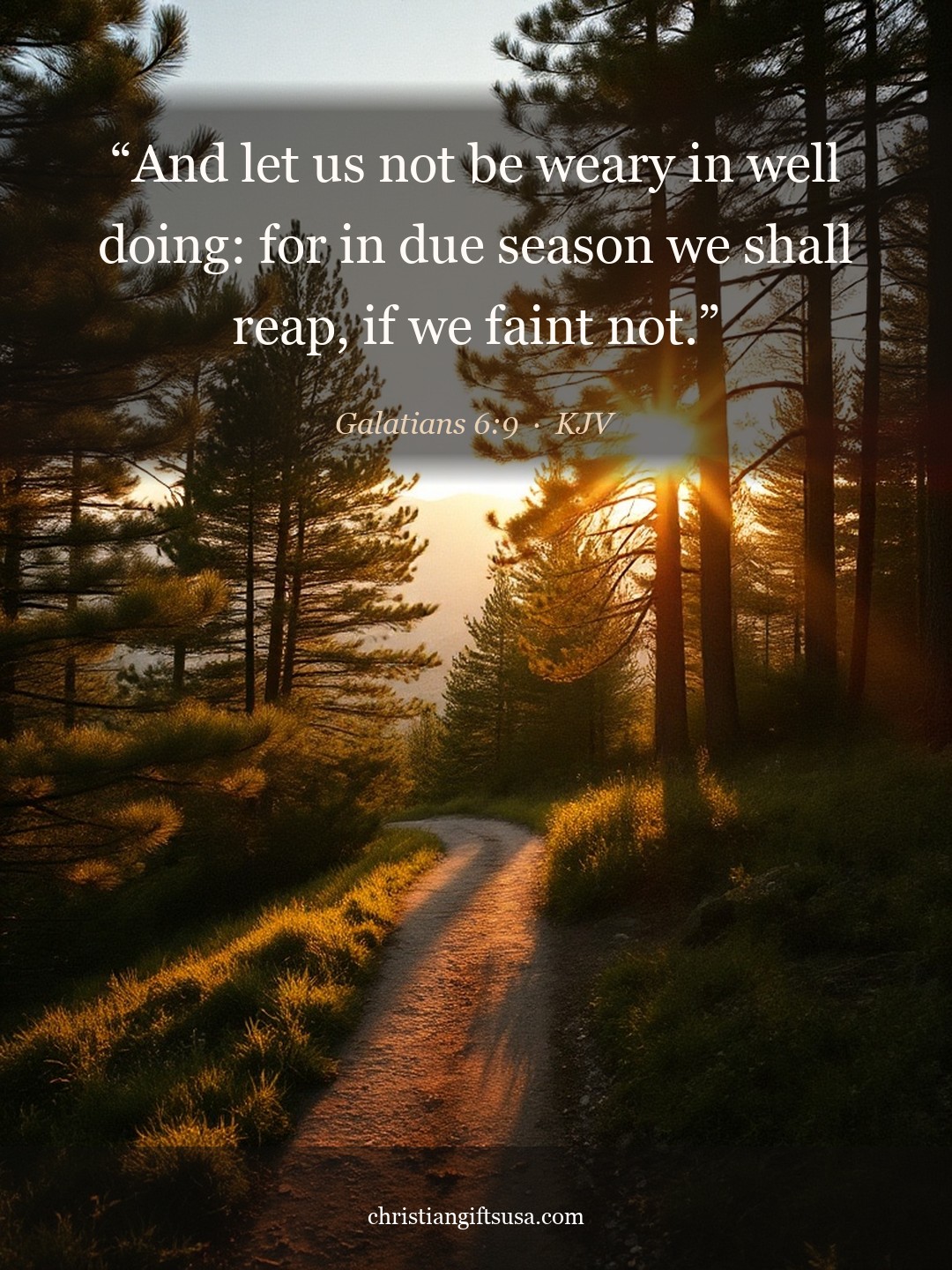 Galatians 6:9 illustrated Bible verse