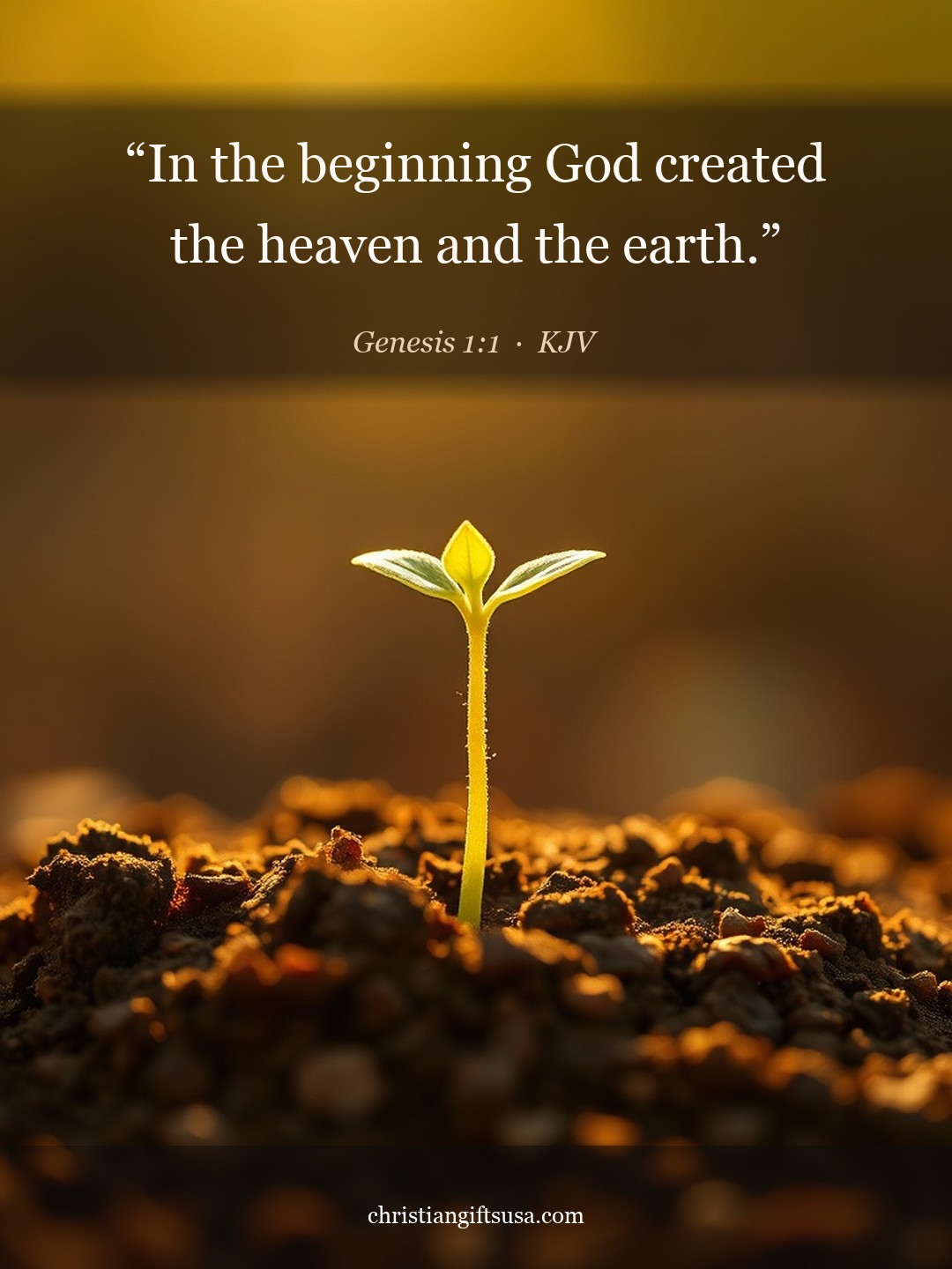 Genesis 1:1 illustrated Bible verse