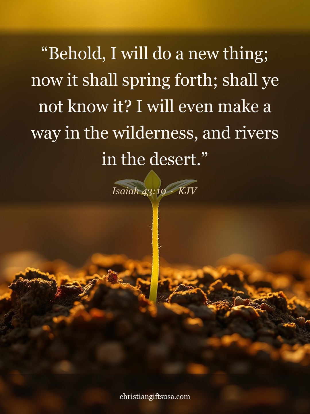 Isaiah 43:19 illustrated Bible verse