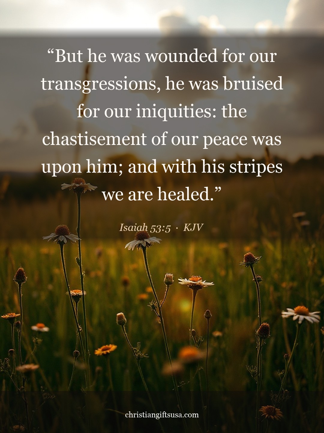 Isaiah 53:5 illustrated Bible verse