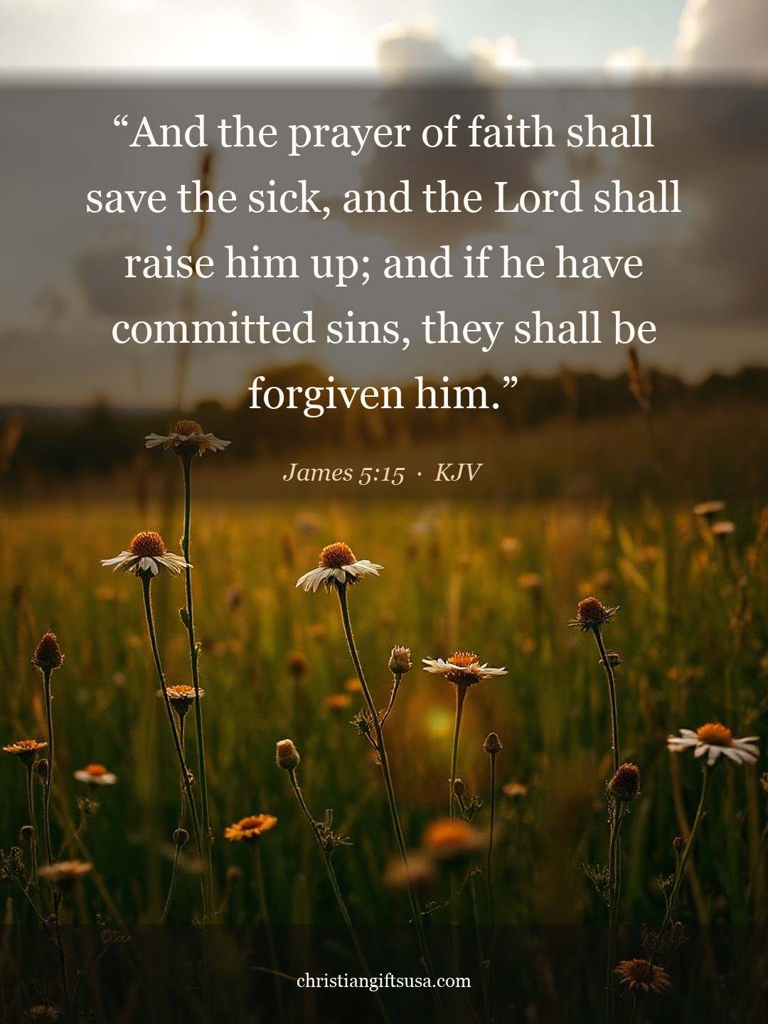 James 5:15 illustrated Bible verse