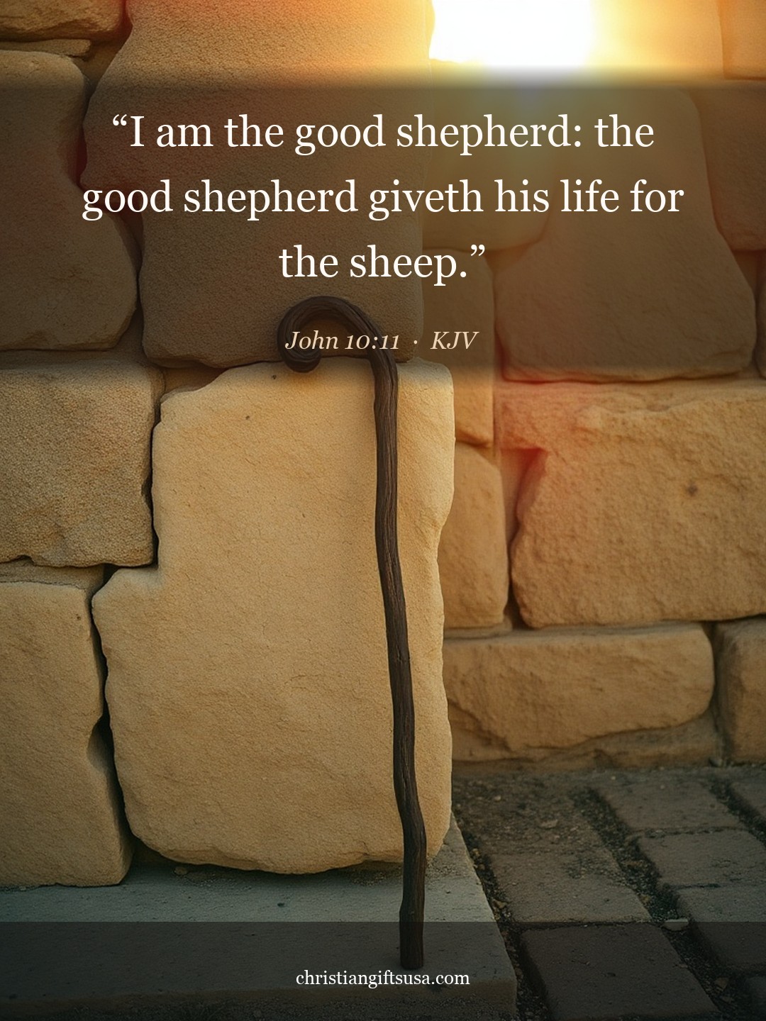John 10:11 illustrated Bible verse
