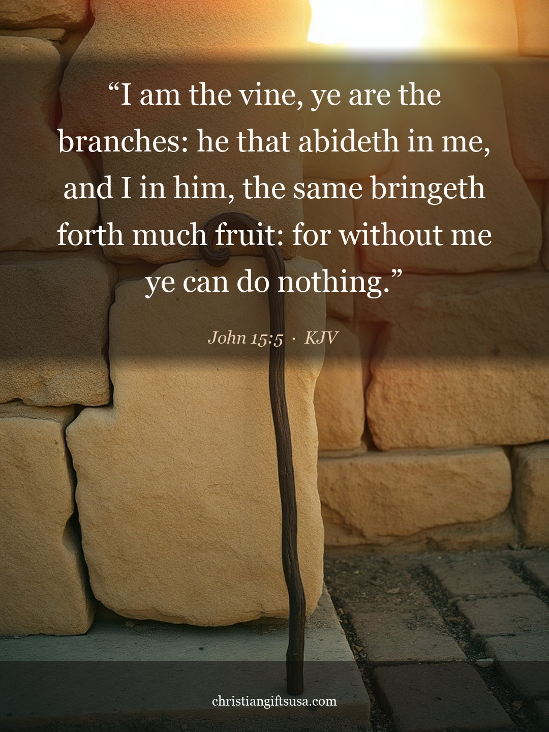 John 15:5 illustrated Bible verse