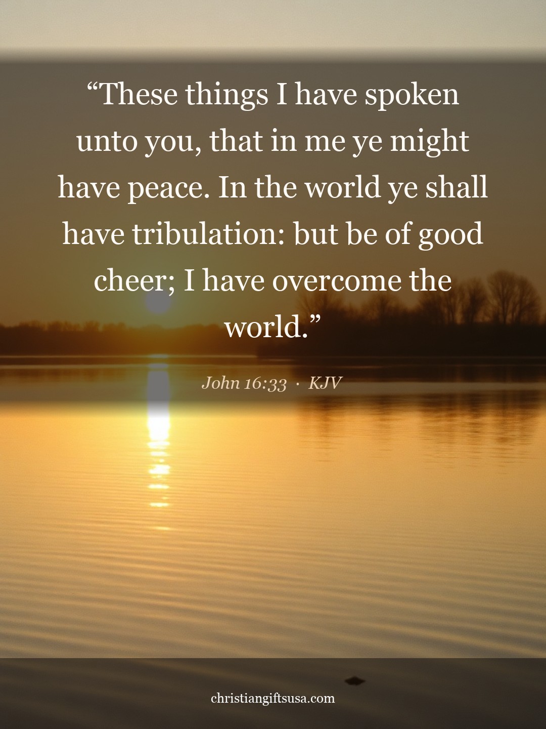 John 16:33 illustrated Bible verse
