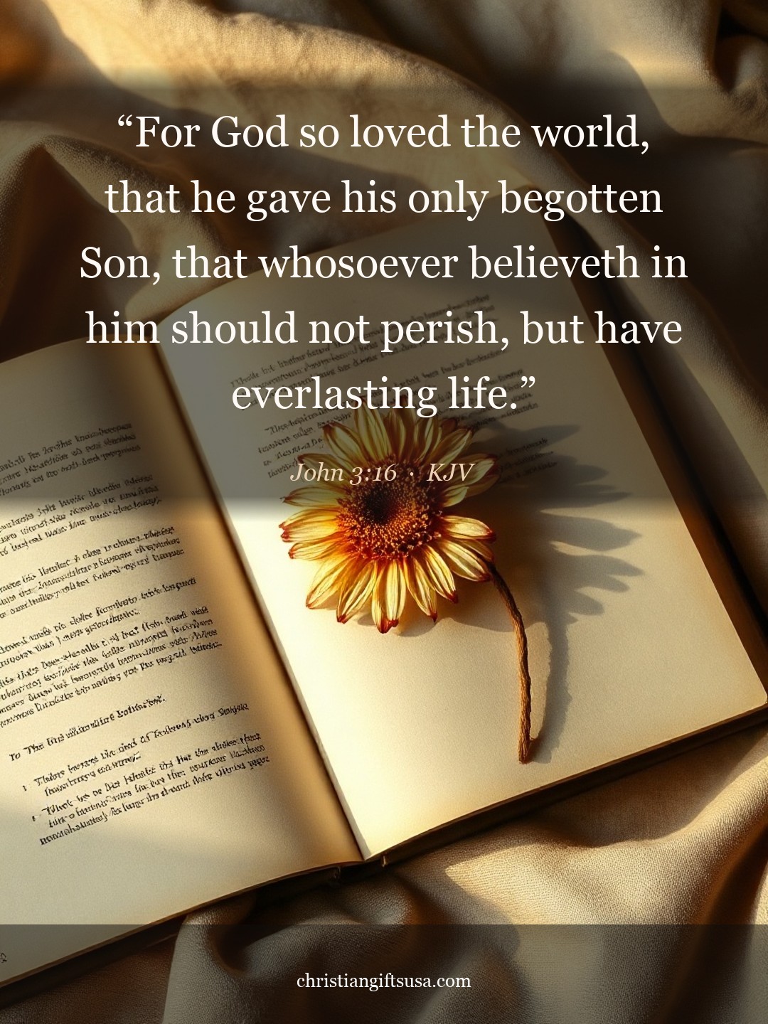 John 3:16 illustrated Bible verse