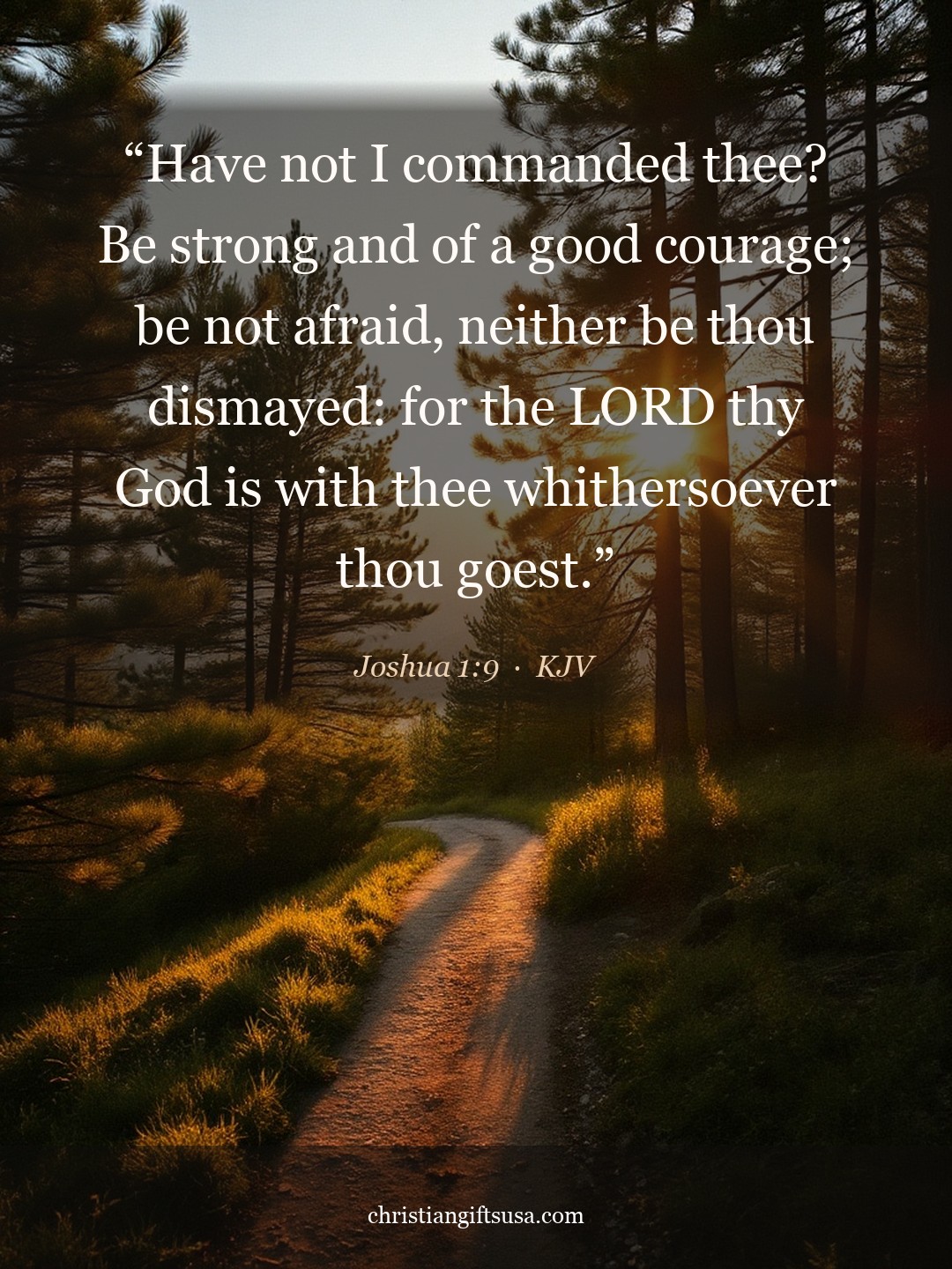 Joshua 1:9 illustrated Bible verse