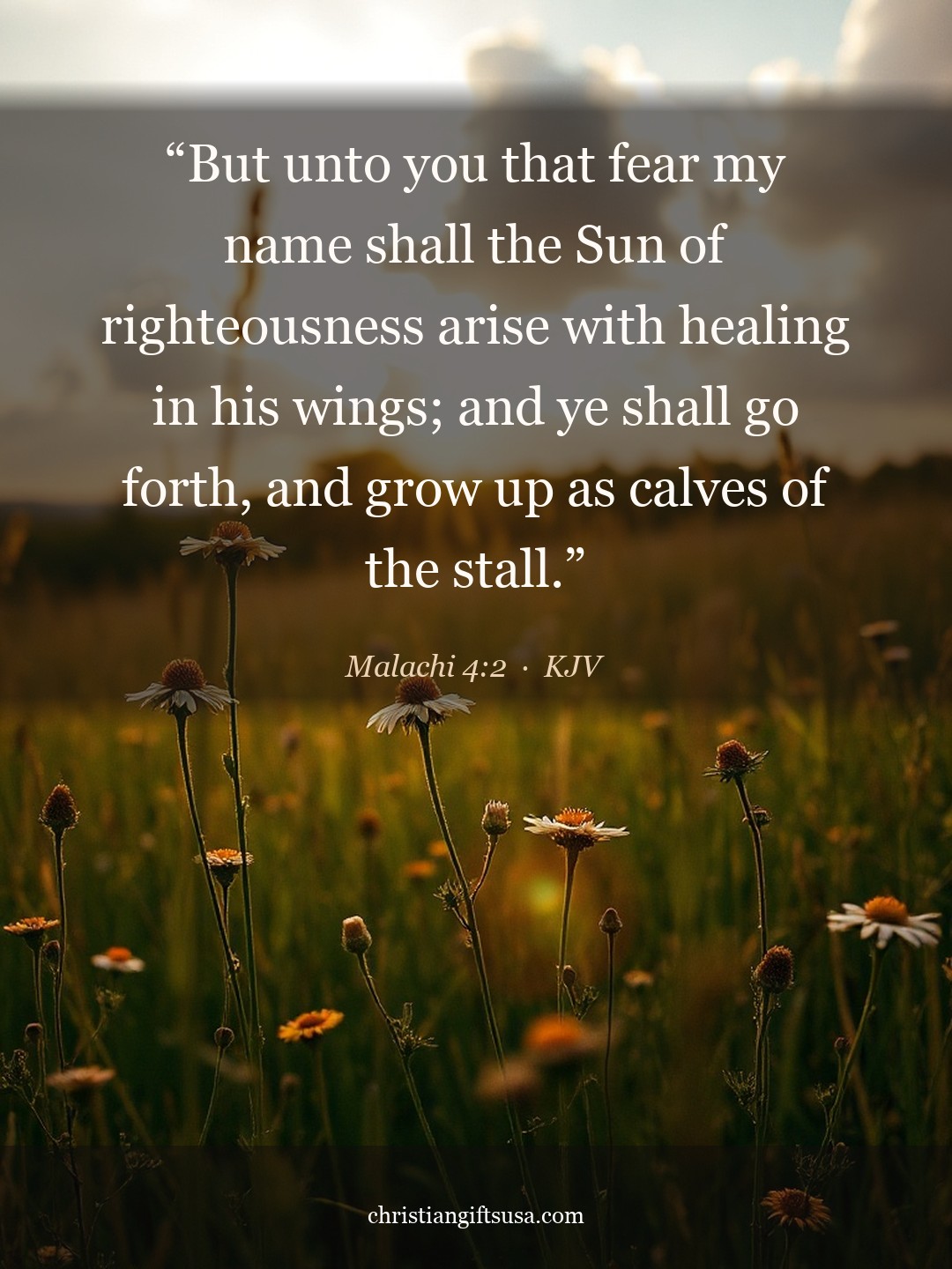 Malachi 4:2 illustrated Bible verse