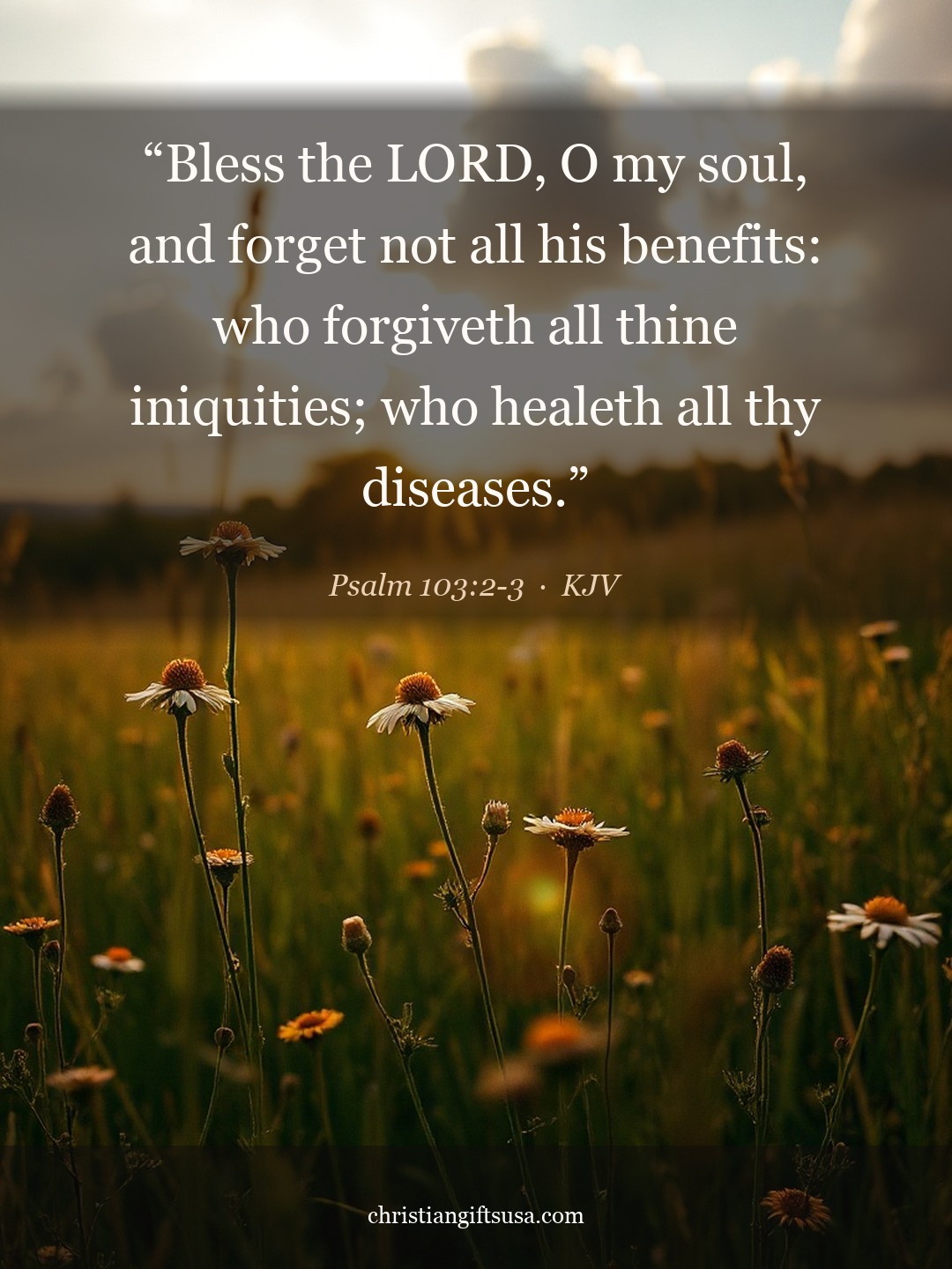 Psalm 103:2-3 illustrated Bible verse