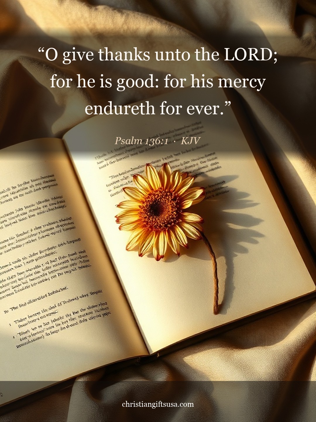 Psalm 136:1 illustrated Bible verse
