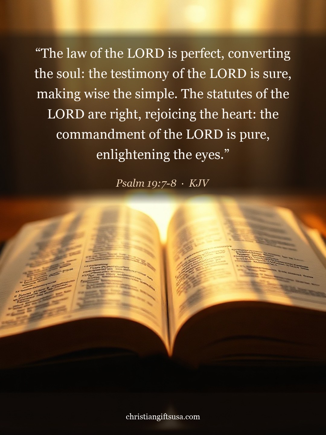 Psalm 19:7-8 illustrated Bible verse