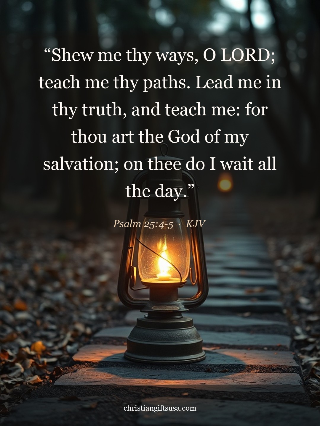 Psalm 25:4-5 illustrated Bible verse