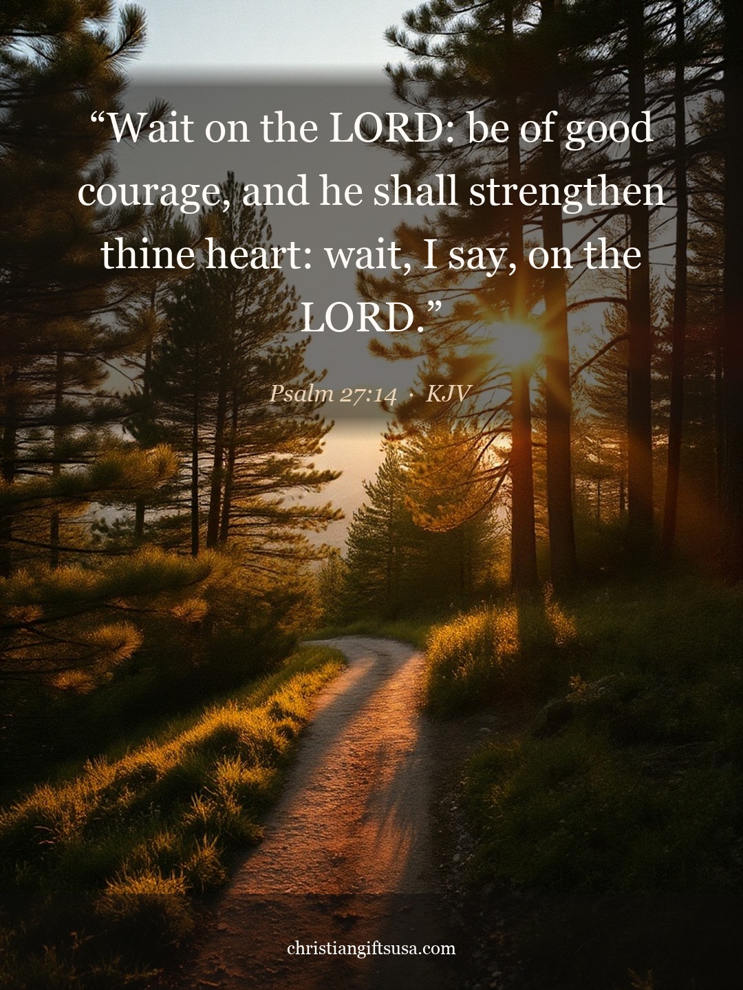 Psalm 27:14 illustrated Bible verse