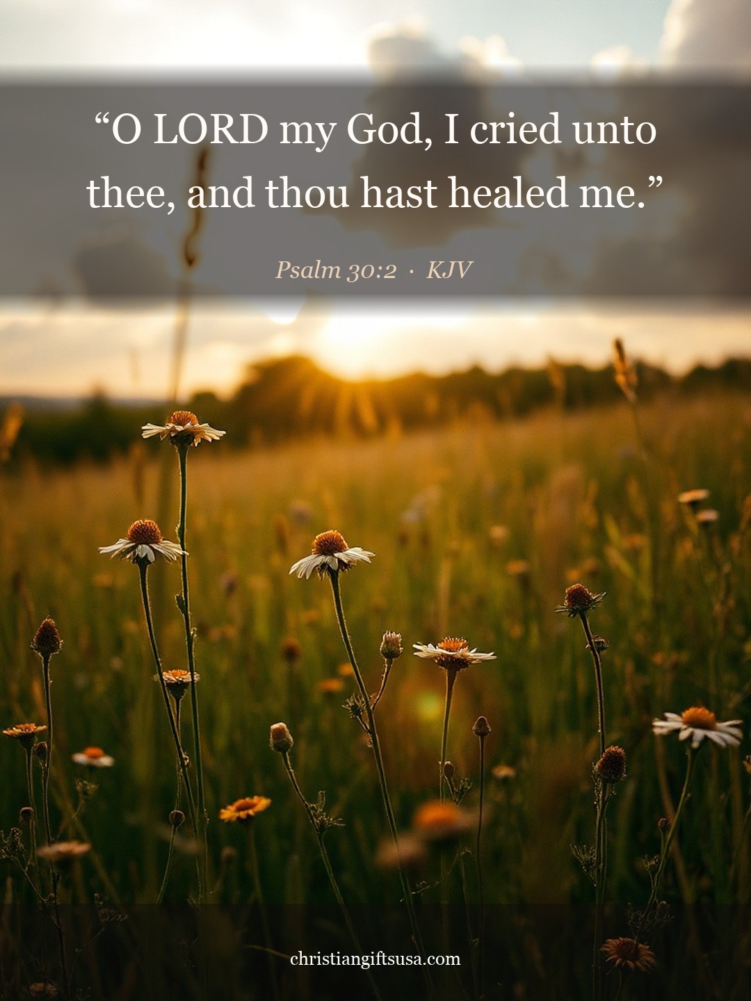 Psalm 30:2 illustrated Bible verse