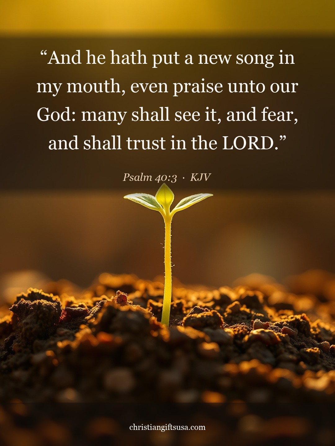 Psalm 40:3 illustrated Bible verse