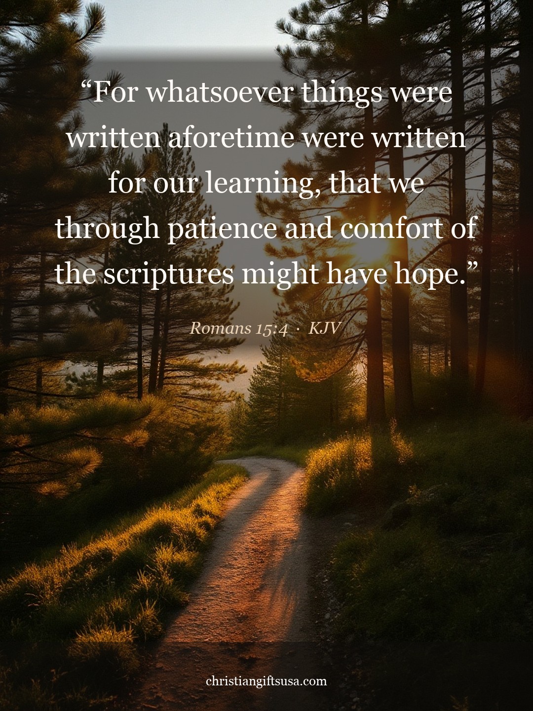 Romans 15:4 illustrated Bible verse